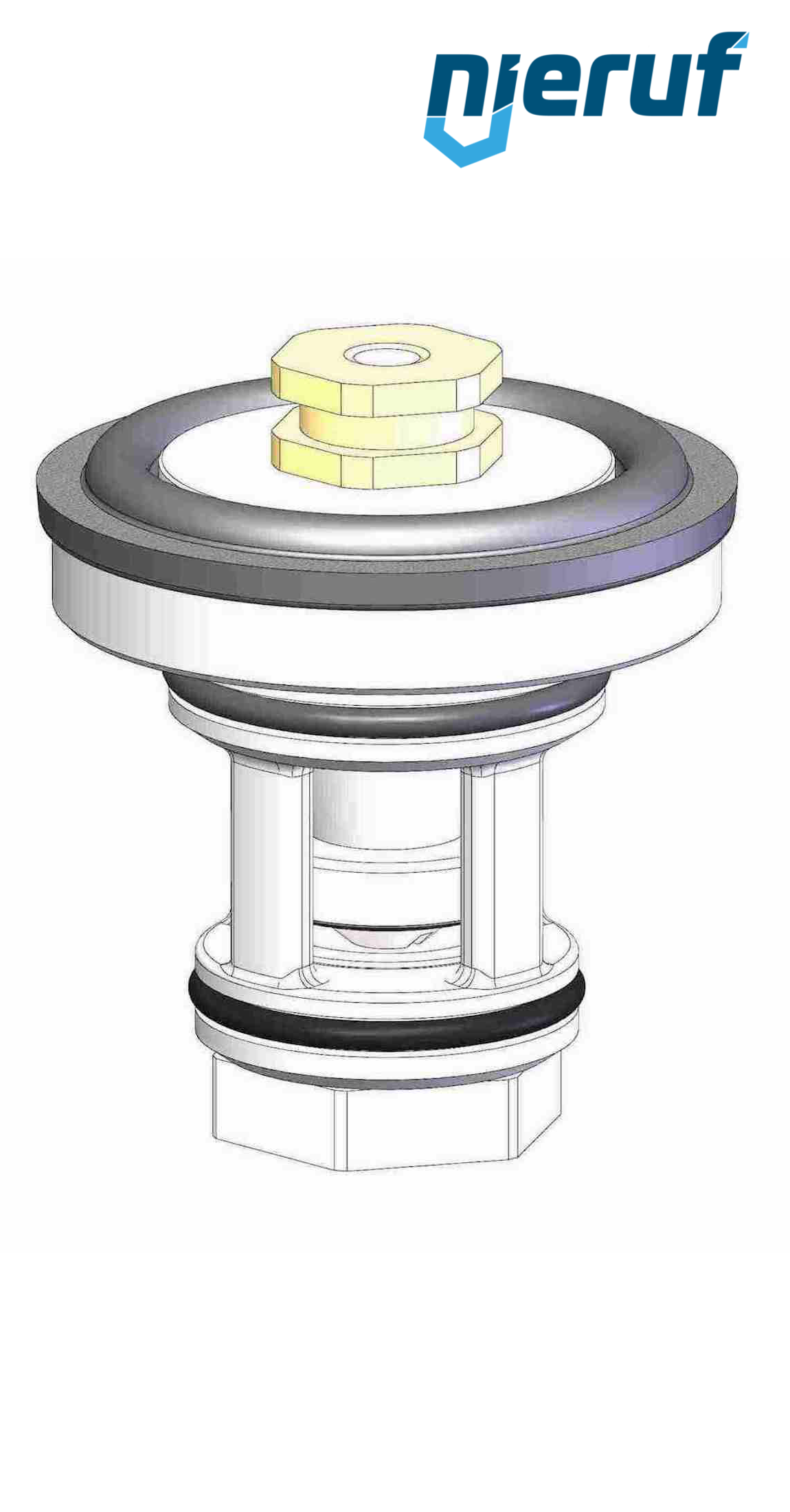 insert FKM UV12 DN50 - 2" pouce